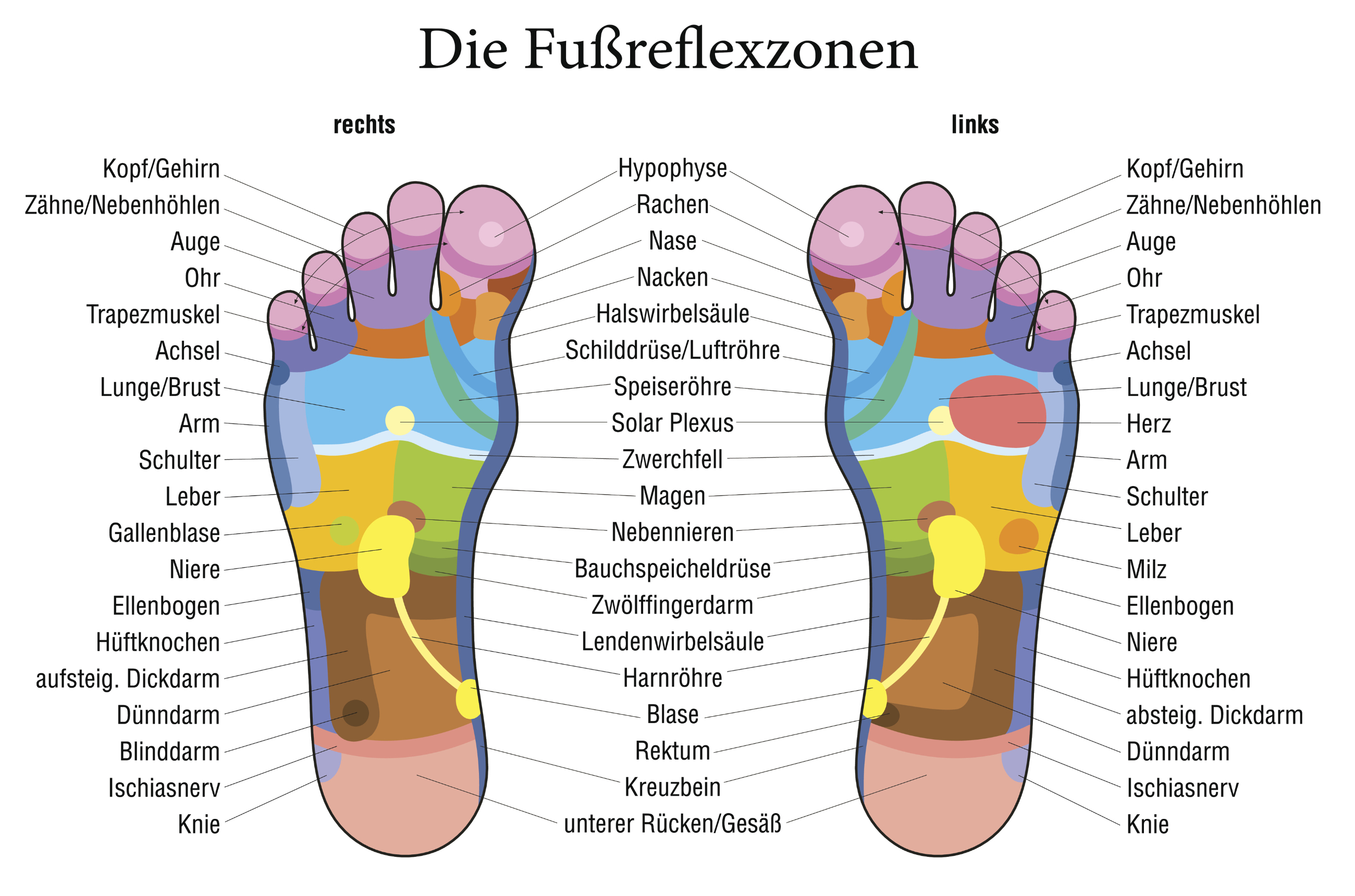 Fußreflexzonen